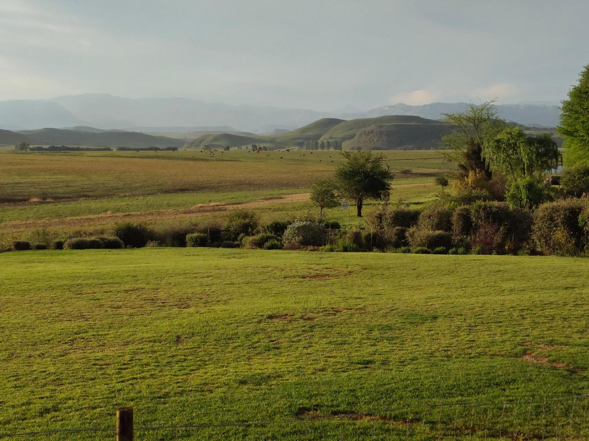 Sani Pass View Cottage Himeville Ngoại thất bức ảnh